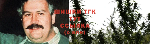 гашик Горнозаводск