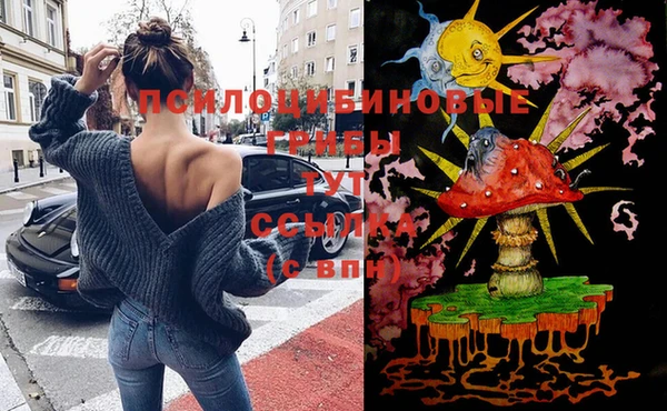 ECSTASY Вязники