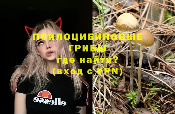 альфа пвп Вяземский