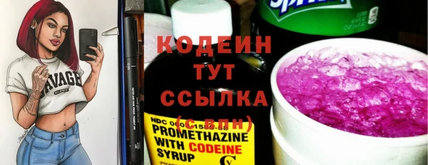 дживик Пестово