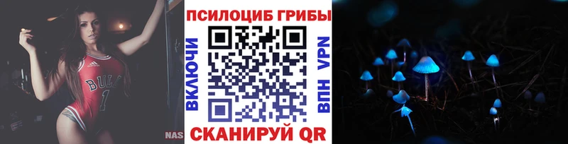 MEGA зеркало  где купить наркоту  Дагестанские Огни  даркнет состав  Псилоцибиновые грибы мицелий 